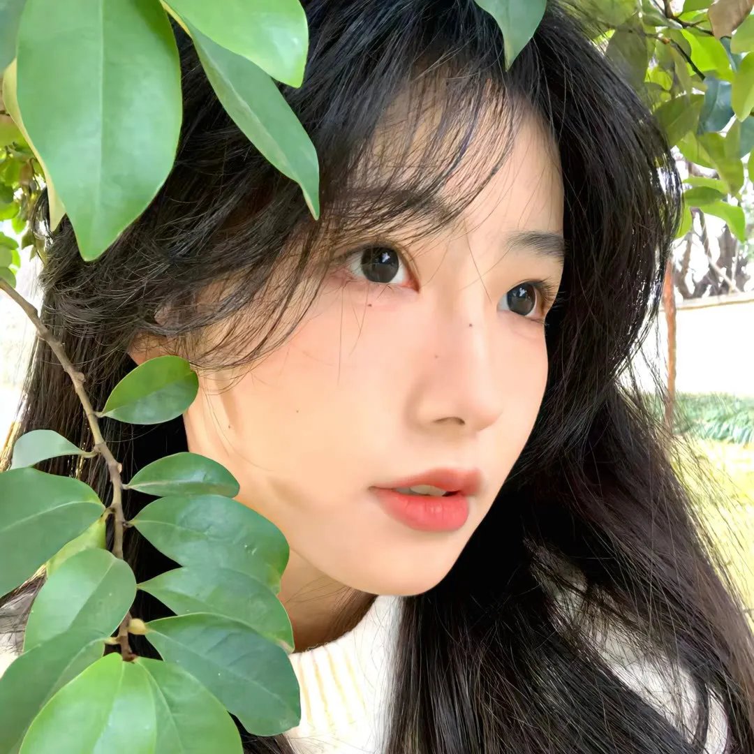 行尸走肉第四季