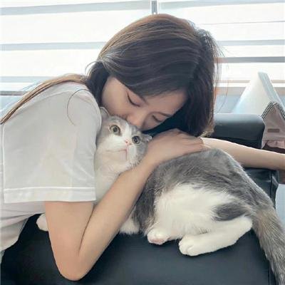拳的较量