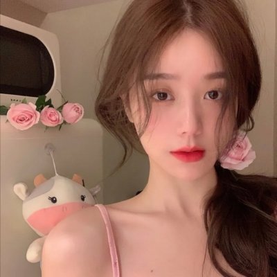 芭比与姐妹之赛马记